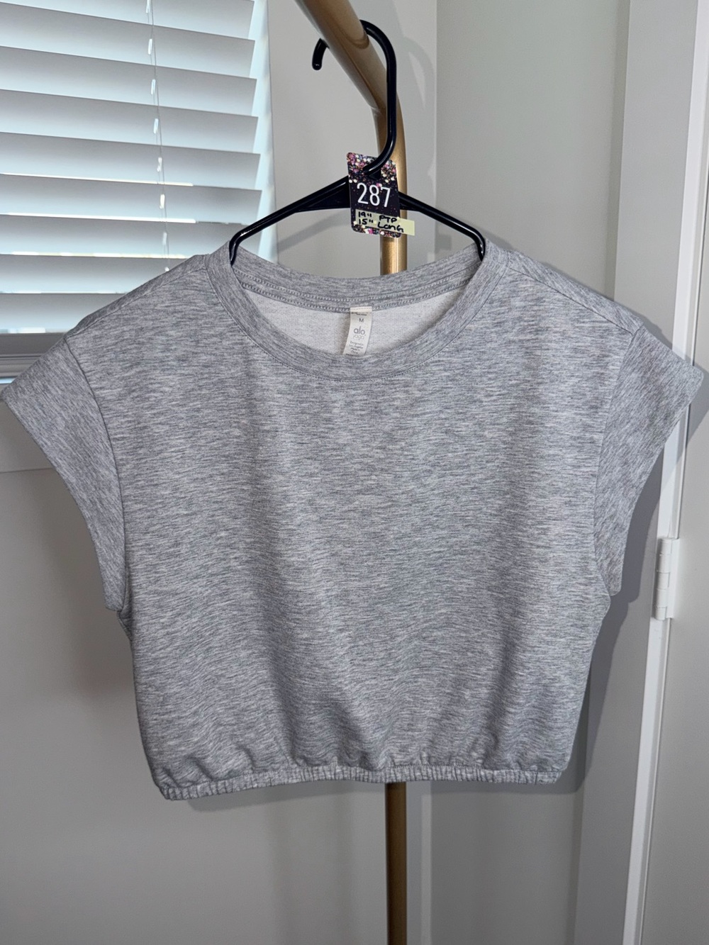 287. Alo Dreamy Crop Short-Sleeve Top